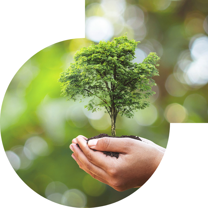 关怀人类、文化、环境与社会